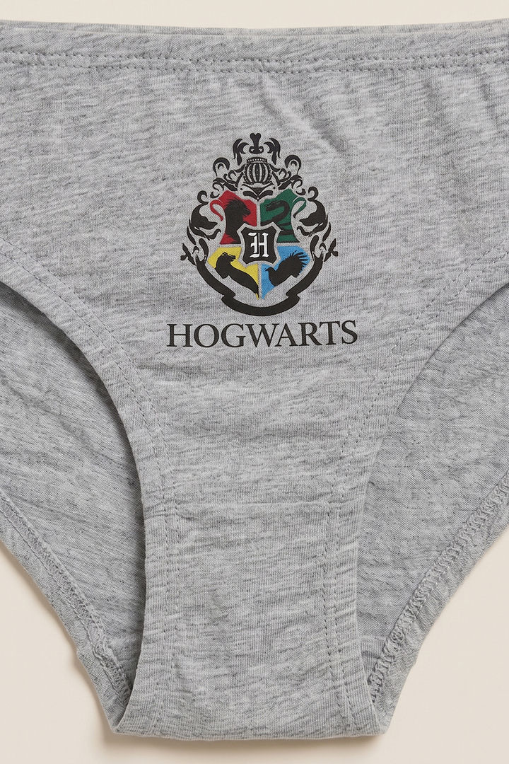 Zivame Girls Harry Potter Briefs (Pack of 2) - Multicolor — image 7
